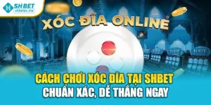 Cách Chơi Xóc Đĩa Tại Shbet – Chuẩn Xác, Dễ Thắng Ngay