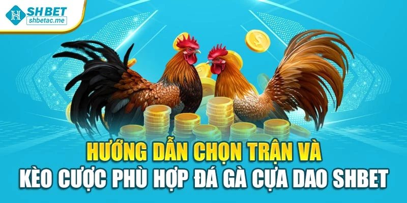 Hướng dẫn chọn trận và kèo cược phù hợp Đá gà cựa dao SHBET