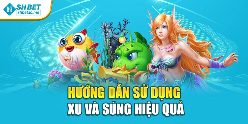 Hướng dẫn sử dụng xu và súng hiệu quả